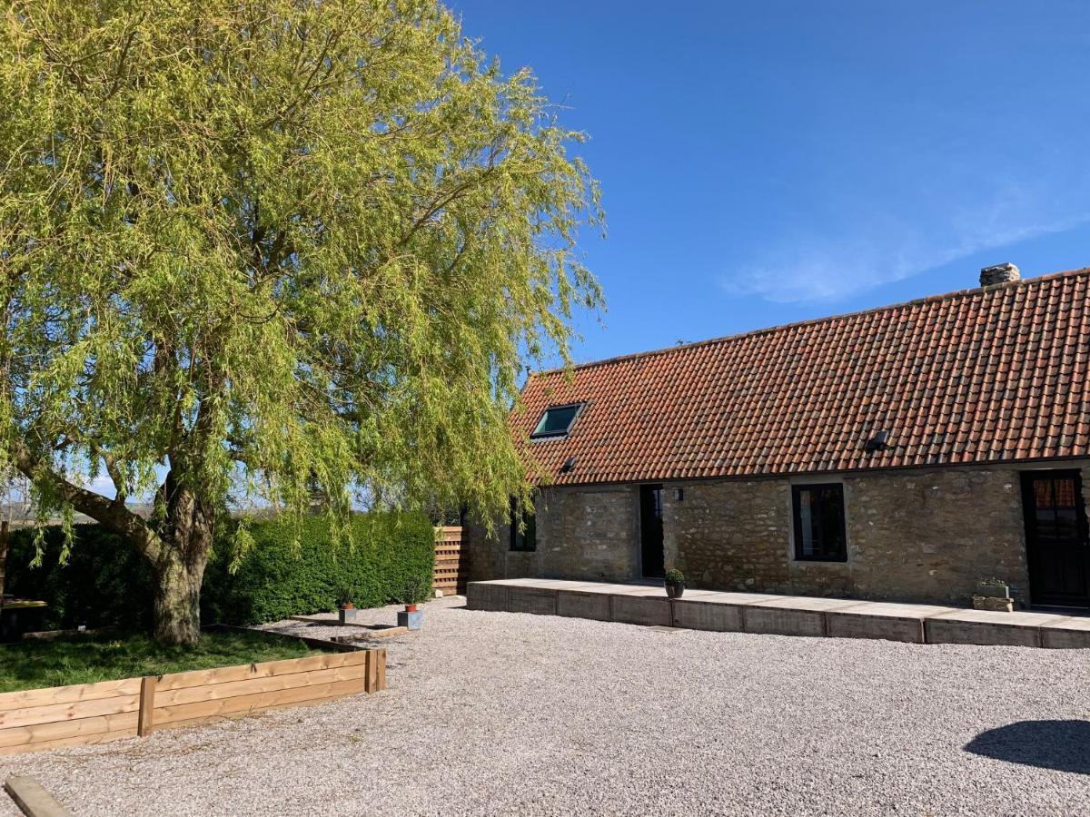 Les Gites Du Grand Saule Tardinghen Exterior foto